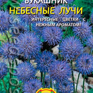 Букашник Небесные лучи, 80 шт.