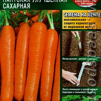 Морковь Нантская Улучшенная Сахарная, ЦВ, 2 г