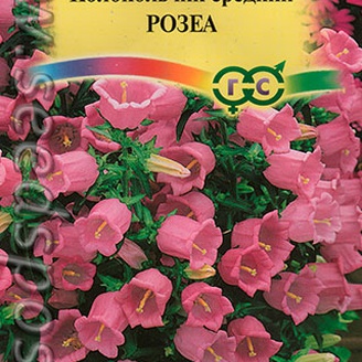 Колокольчик средний Розеа, 0,1 г