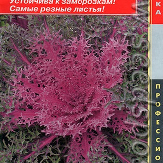 Капуста декоративная Павлин Красная F1, 5 шт. Профессиональная коллекция