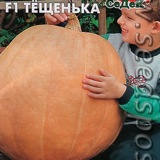 Тыква Тещенька F1, 2 г