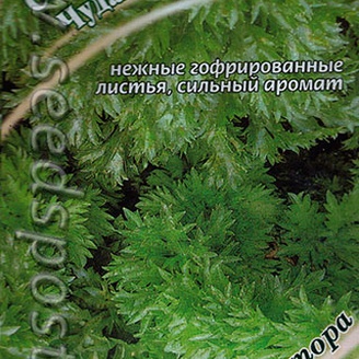 Сельдерей листовой Чудак, 0,3 г Семена от автора