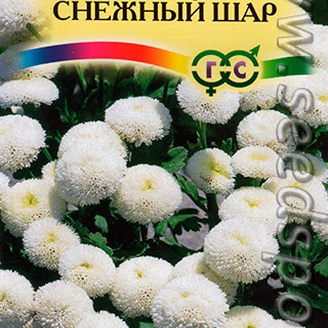 Пиретрум девичий Снежный шар, 0,01 г