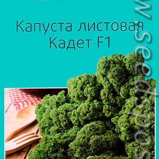 Капуста листовая Кадет, 0,5 г