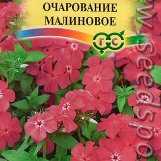 Флокс Друммонда Очарование Малиновое, 0,05 г