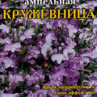 Лобелия ампельная Кружевница, 8 шт.