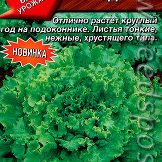 Салат полукочанный Чародейка, 0,5 г