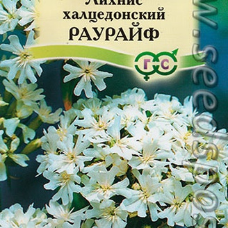 Лихнис халцедонский Раурайф, 0,1 г