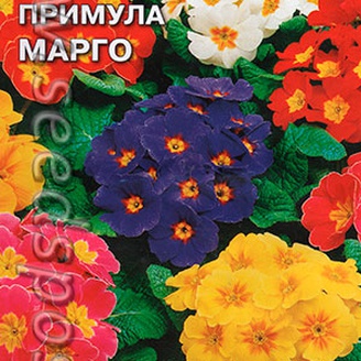 Примула многоцветковая Марго, Смесь, 0,1 г