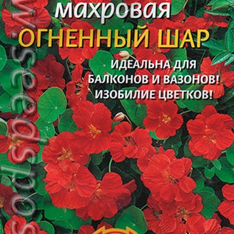 Настурция махровая Огненный шар, 9 шт.