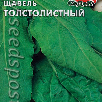 Щавель Толстолистный, 0,5 г