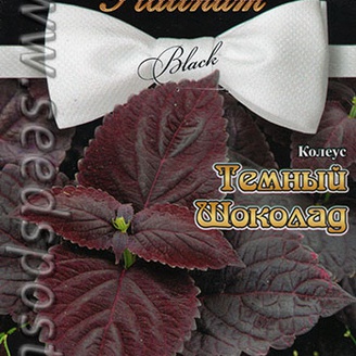 Колеус Шоколад Темный F1, 5 шт. Platinum Black