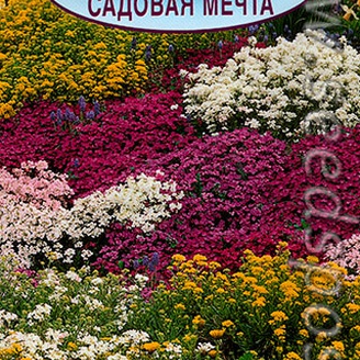 Альпийская смесь Садовая мечта, 0,5 г