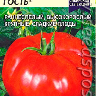 Томат Дорогой Гость ®, 20 шт. Сибирская Селекция!