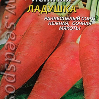 Редька летняя Ладушка, 1 г