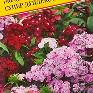 Гвоздика турецкая Супер Дуплекс, Смесь, 0,5 г Голландская линия