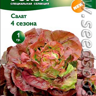 Салат 4 сезона, ср.спел/кочан/брон-красн,  0,5 г