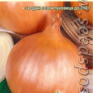 Лук репчатый Ни Слезинки, 0,2 г 