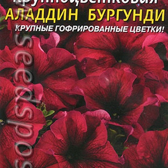 Петуния крупноцветковая Аладдин Бургунди F1, 10 драже 