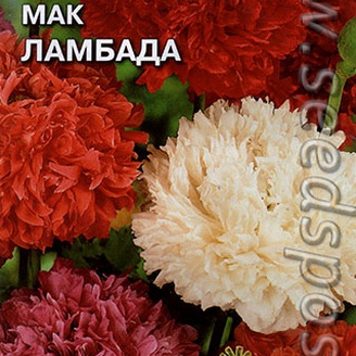 Мак пионовидный Ламбада, Смесь, 0,17 г