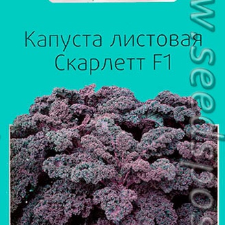 Капуста листовая Скарлетт, 0,5 г