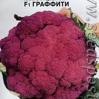 Капуста цветная Граффити F1, 10 шт.