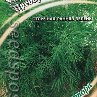 Укроп Преображенский, 2 г Семена от автора