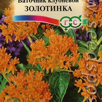 Ваточник клубневой Золотинка, 0,03 г