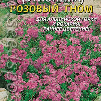 Крылотычинник (этионема) Розовый гном, 10 шт.