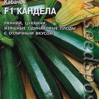 Кабачок Кандела F1, ранний, куст, 5 шт. Sakata