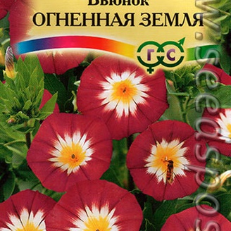 Вьюнок Огненная земля, 0,5 г