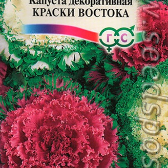 Капуста декоративная Краски востока, 0,1 г