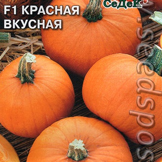 Тыква Красная Вкусная F1, 1 г