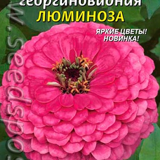 Цинния георгиновидная Люминоза, 0,3 г