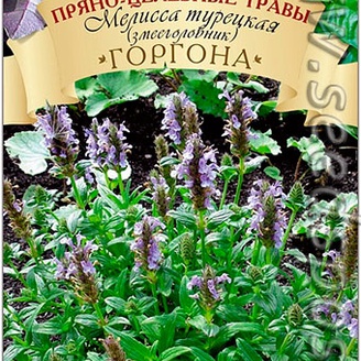 Мелисса турецкая (змееголовник) Горгона, 0,3 г