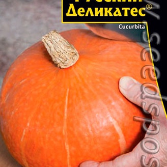 Тыква Русский Деликатес®, 3 шт.