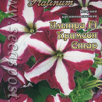 Петуния крупноцветковая Ультра Кримсон Стар, 15 шт. Platinum