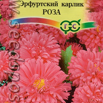 Астра Эрфуртский карлик Роза, 0,3 г