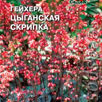 Гейхера Циганская скрипка, 0,1 г