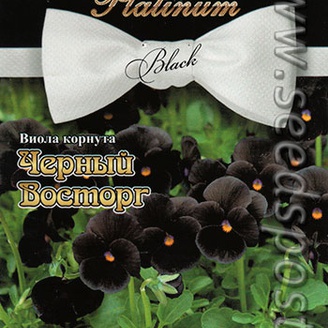 Виола корнута Черный восторг, 10 шт. Platinum Black