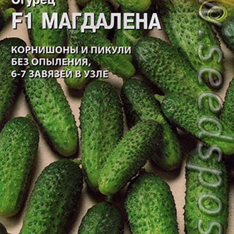 Огурец Магдалена F1, 5 шт. (Seminis)