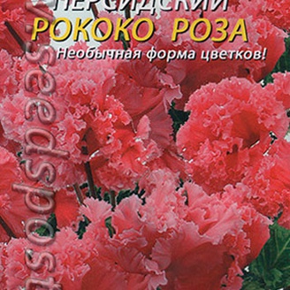 Цикламен персидский Рококо Роза, 3 шт.