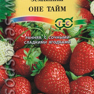 Земляника Оне Тайм, 4 шт.