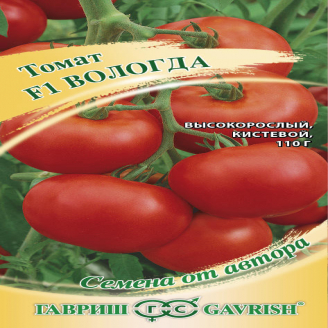 Томат Вологда кистев, ЦВ. 12 шт.